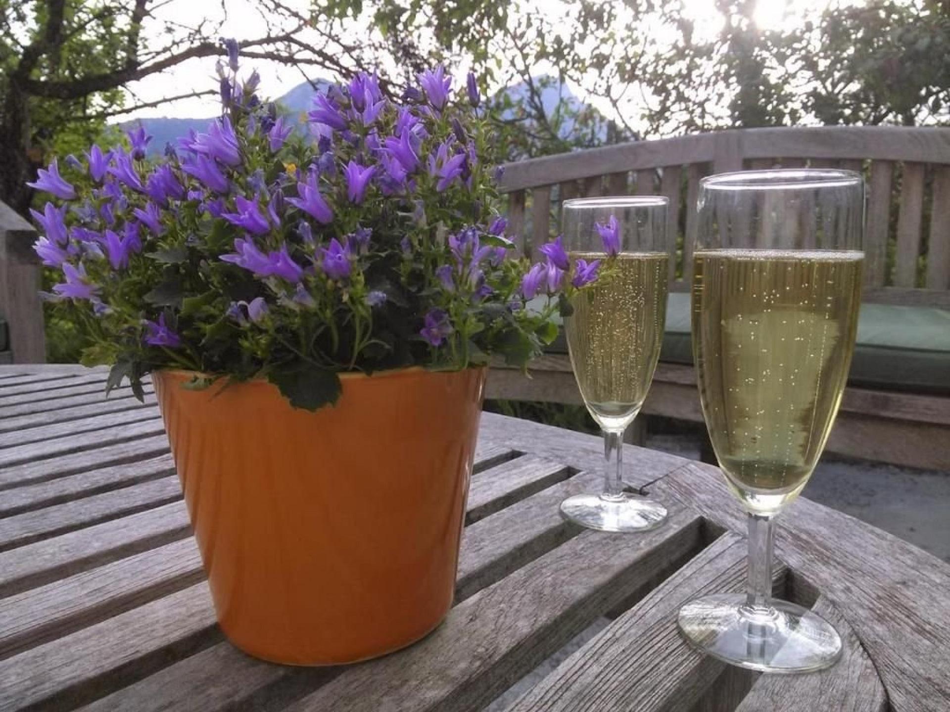Lavendel